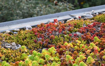 the cost of Llantwit Fardre green roof installation