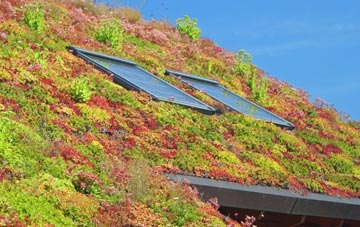 Llantwit Fardre living roof systems