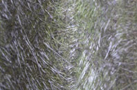 Llantwit Fardre fibreglass roof work